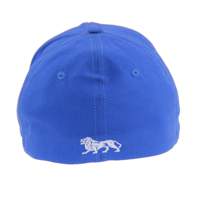 Blaue 6 Panels Stickerei Baseballkappen, Baseballhut für den Herbst/Winter