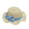 Kundenspezifisches Logo Pantone-Farbbreiter Rand-Straw Hat Womens Beach Hatss